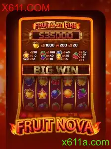 Exploração Detalhada de FruitNova: Uma Nova Experiência de Jogo